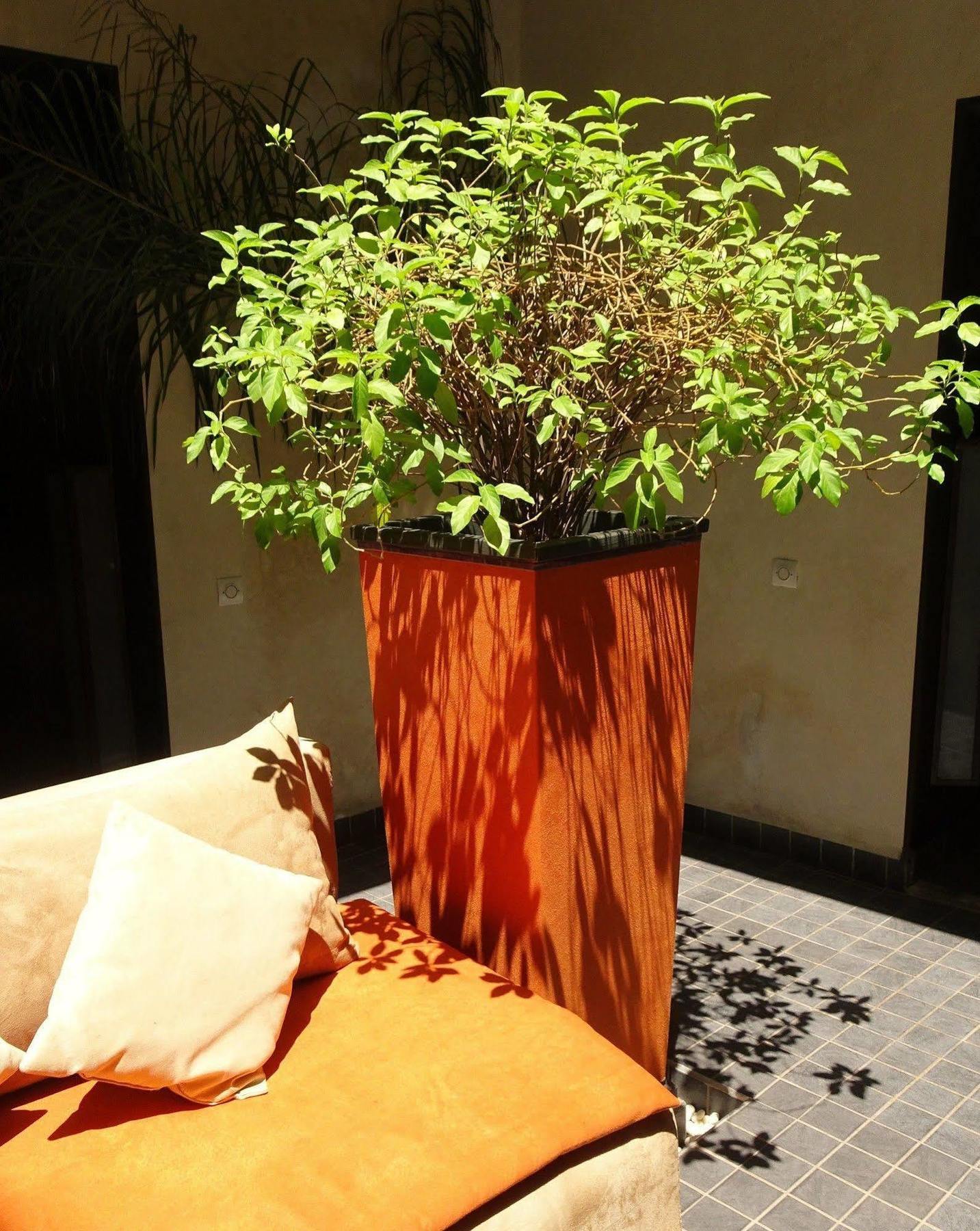 Riad Pierres Et Saveurs Soleil Marrakesh Eksteriør billede