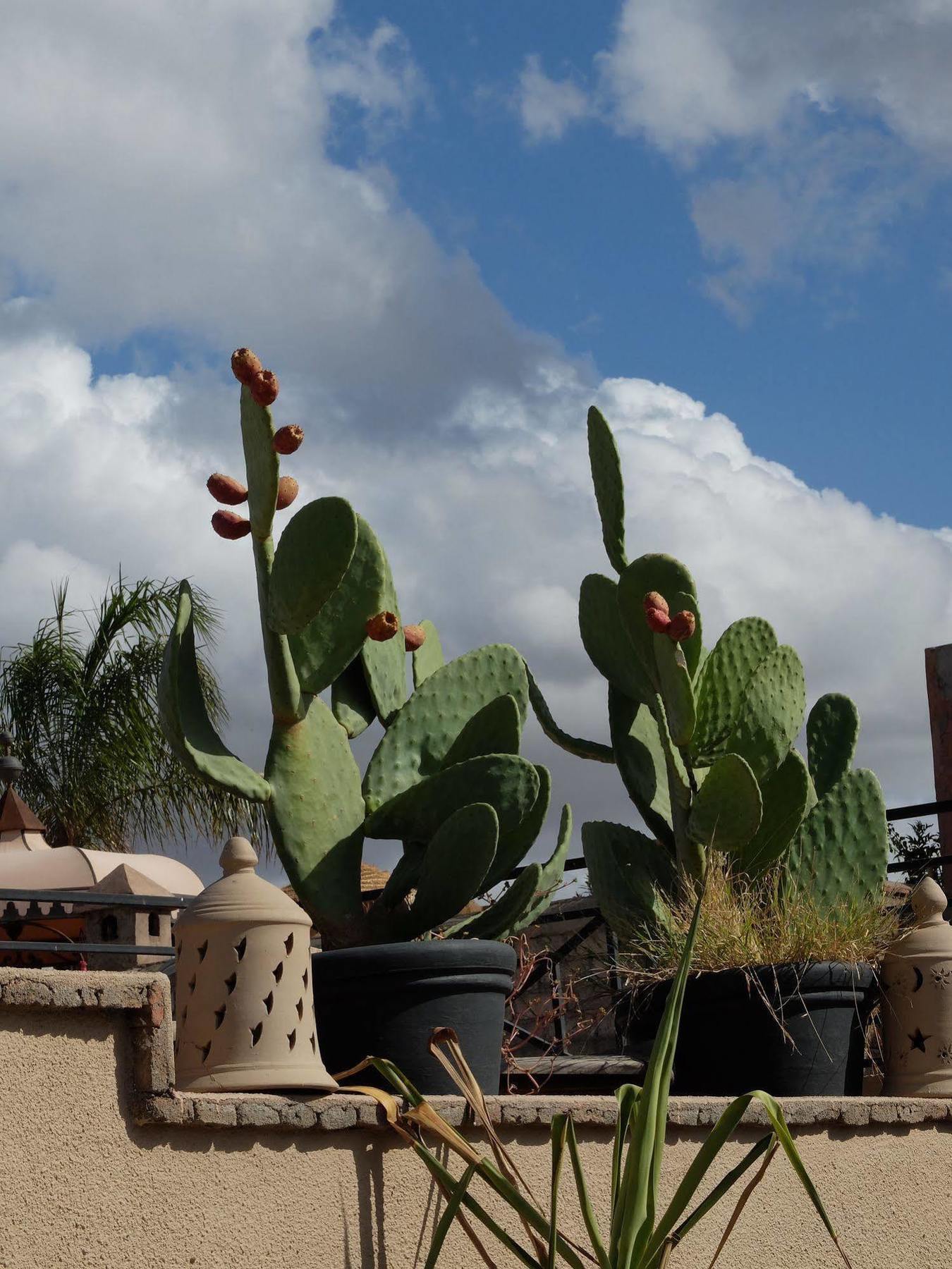 Riad Pierres Et Saveurs Soleil Marrakesh Eksteriør billede